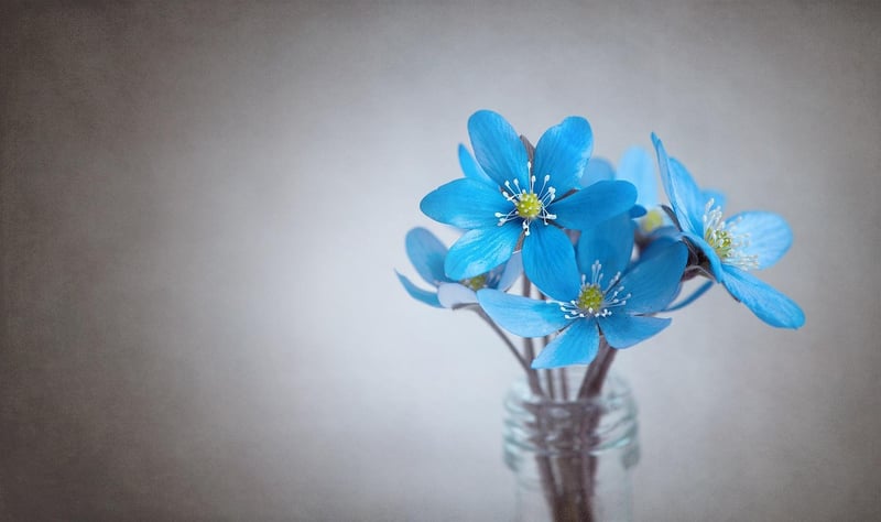 Vertical Flower Wall